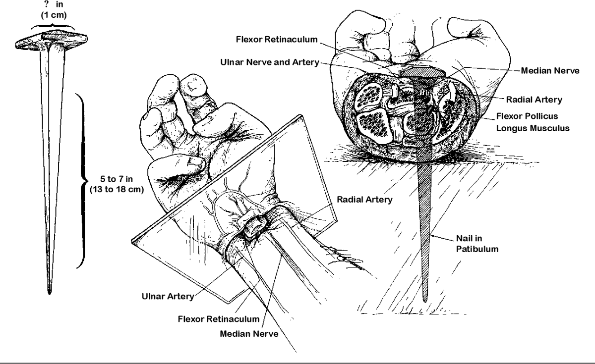 bootleg_images_bot(twee!:void(0)-+**** tweet media