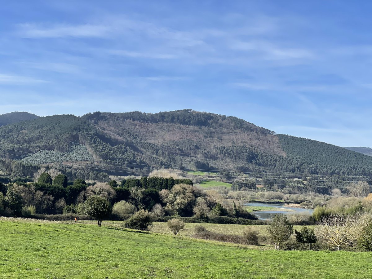 joseramonguar's tweet photo. Desde Soto del Barco al Monte Agudo (el latín 'Monte Acutum'), una estampa que une el Castillo de San Martín, el Camino de Santiago y la magia de nuestra vega. 🌿⛰️
¡Asturias en estado puro! 😍
#SotodelBarco #MonteAgudo #Asturias #ParaisoNatural #BajoNalon https://t.co/AAgZJcnfhx