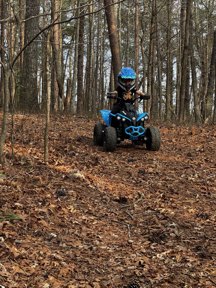 paigestone04's tweet photo. Perfect day for a bear hunt with Opa. 🐻🪾🤍🤍 https://t.co/qbmkFdj7Ui