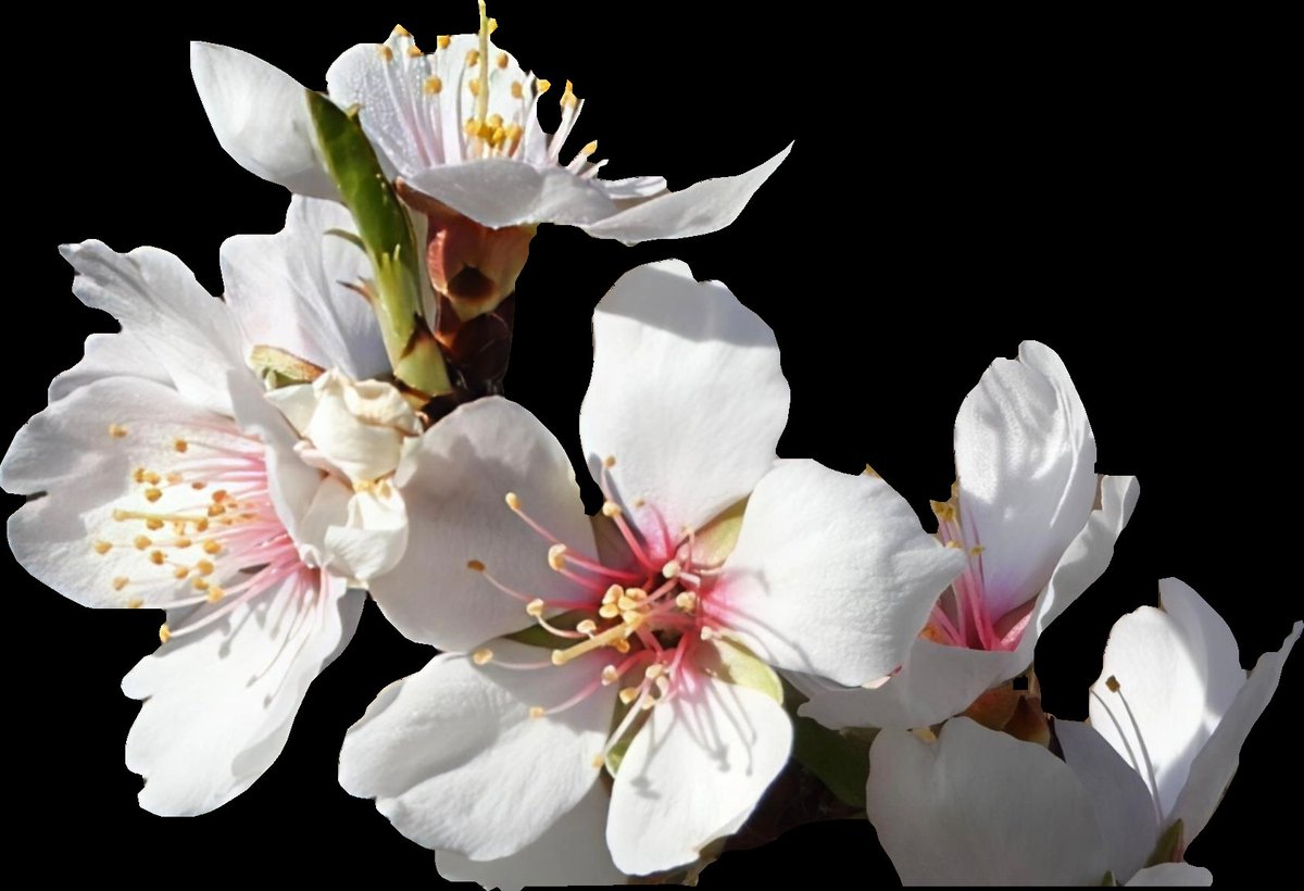 Manuel (@manuel41195697) on Twitter photo 