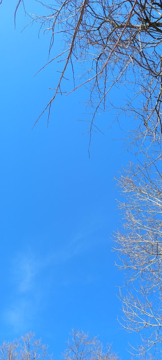 Emilie Pouce tweet media