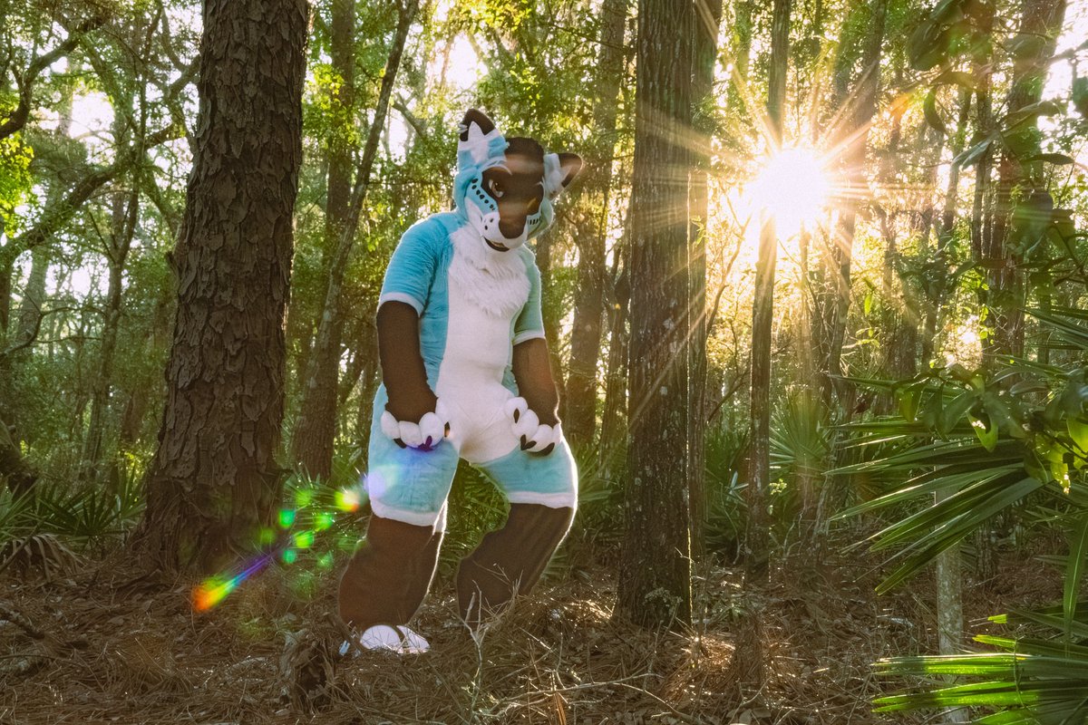 Kriegar Wolf tweet media