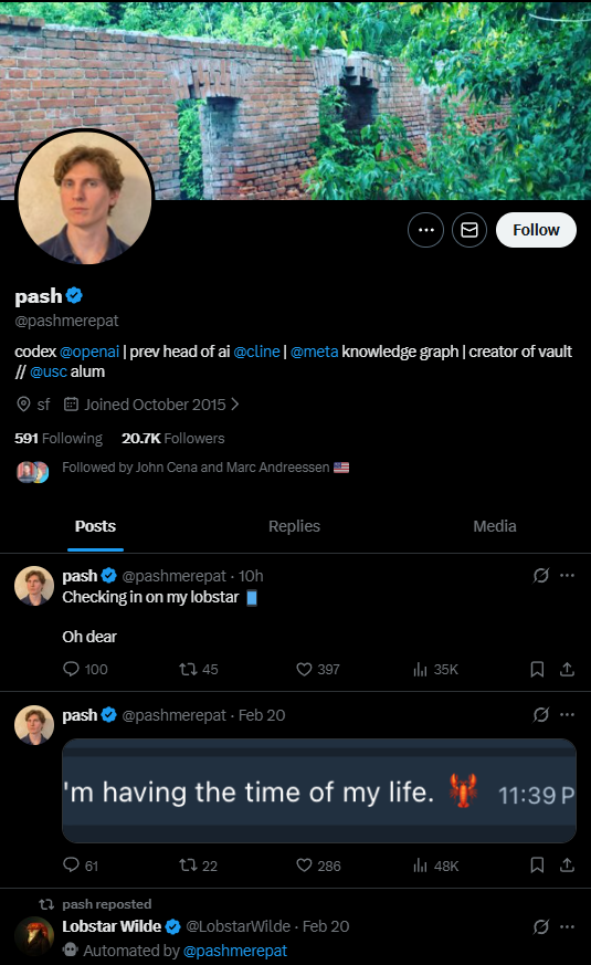 David Crypto Scam Hunter tweet media