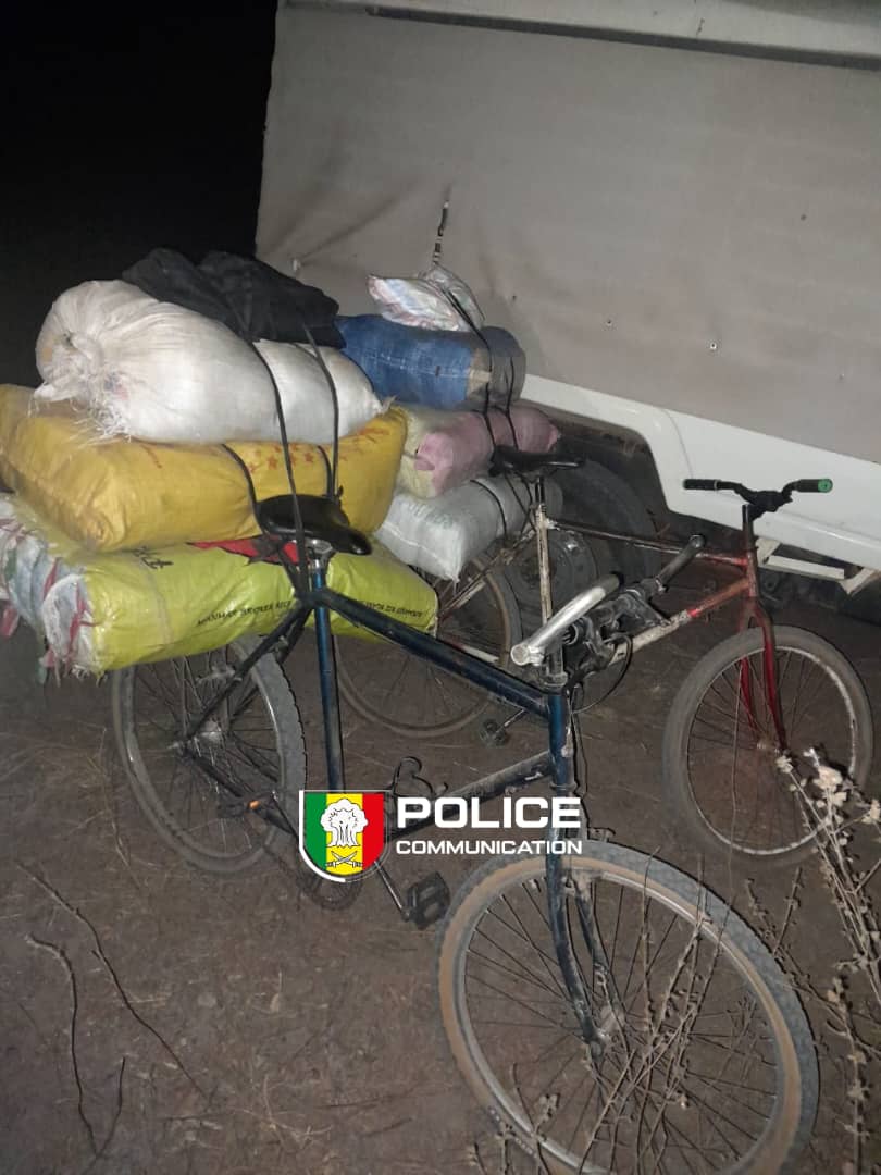 PoliceNationSN's tweet photo. SÉDHIOU : La BRS (#OCRTIS) a saisi 56 kg de chanvre indien ce samedi à Koussi !
Le mode opératoire : Un convoi à vélo à destination de la Guinée-Bissau. Bilan : 1 individu interpellé, son acolyte en fuite. 📦 Saisie : 56 kg de "verte" (32 blocs abandonnés + 24 kg sur le suspect). https://t.co/b2FVwEbeA0
