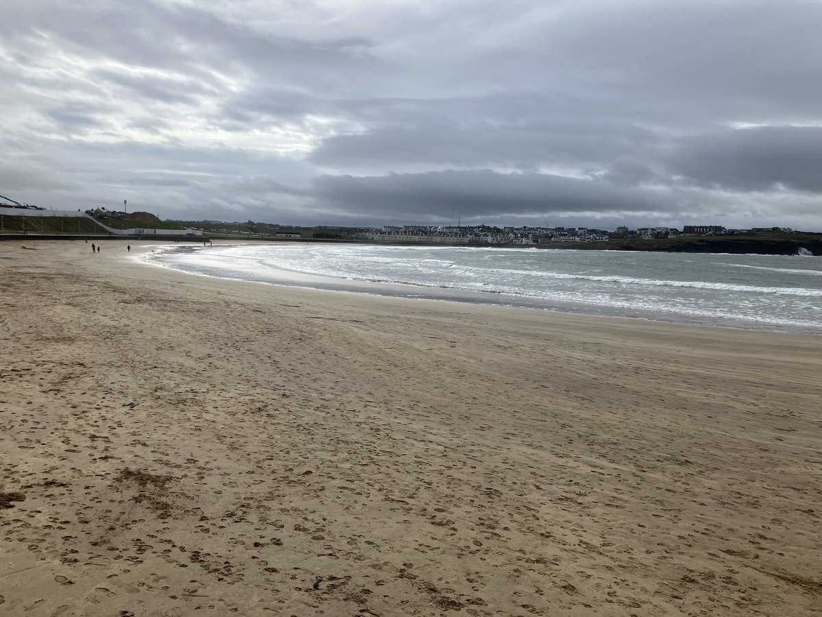 Robert Wilson tweet media