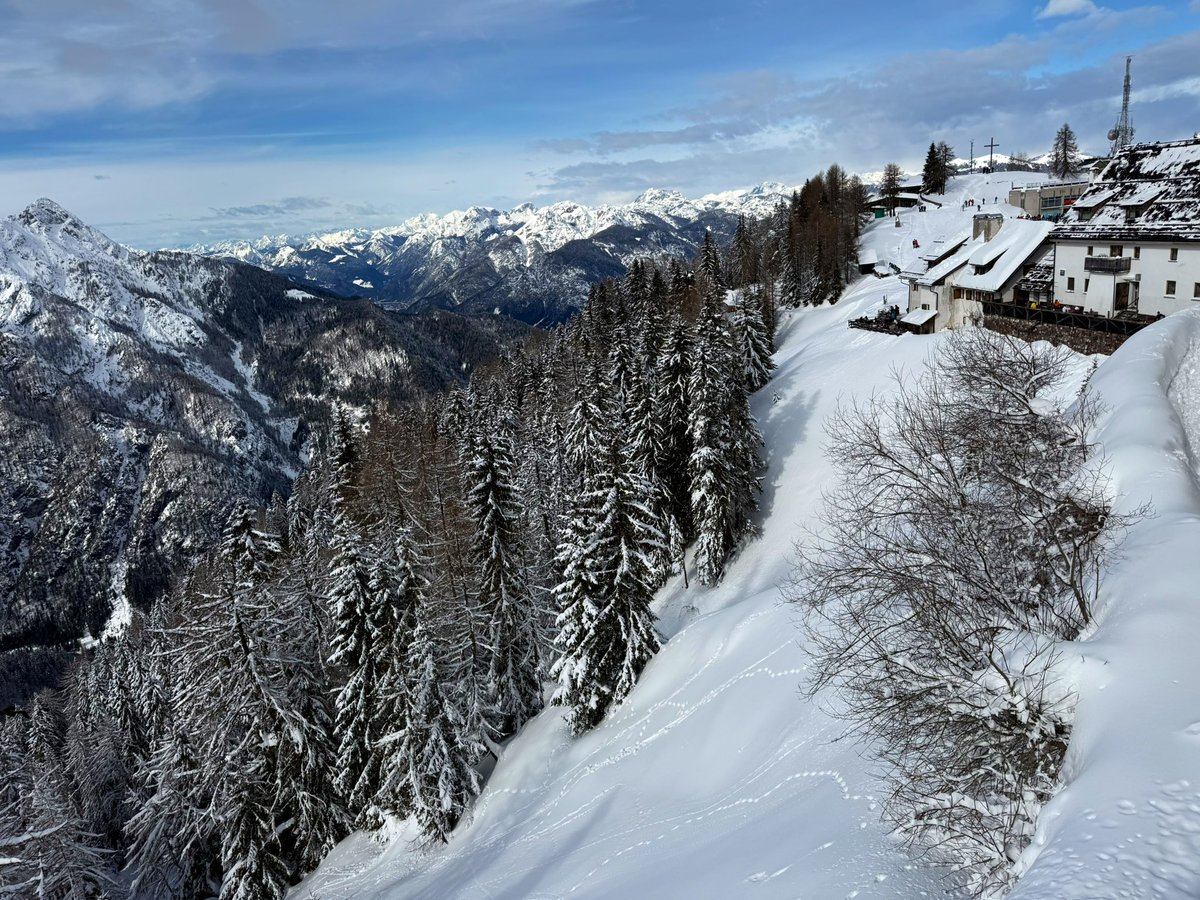 Kristijan Paljar tweet media