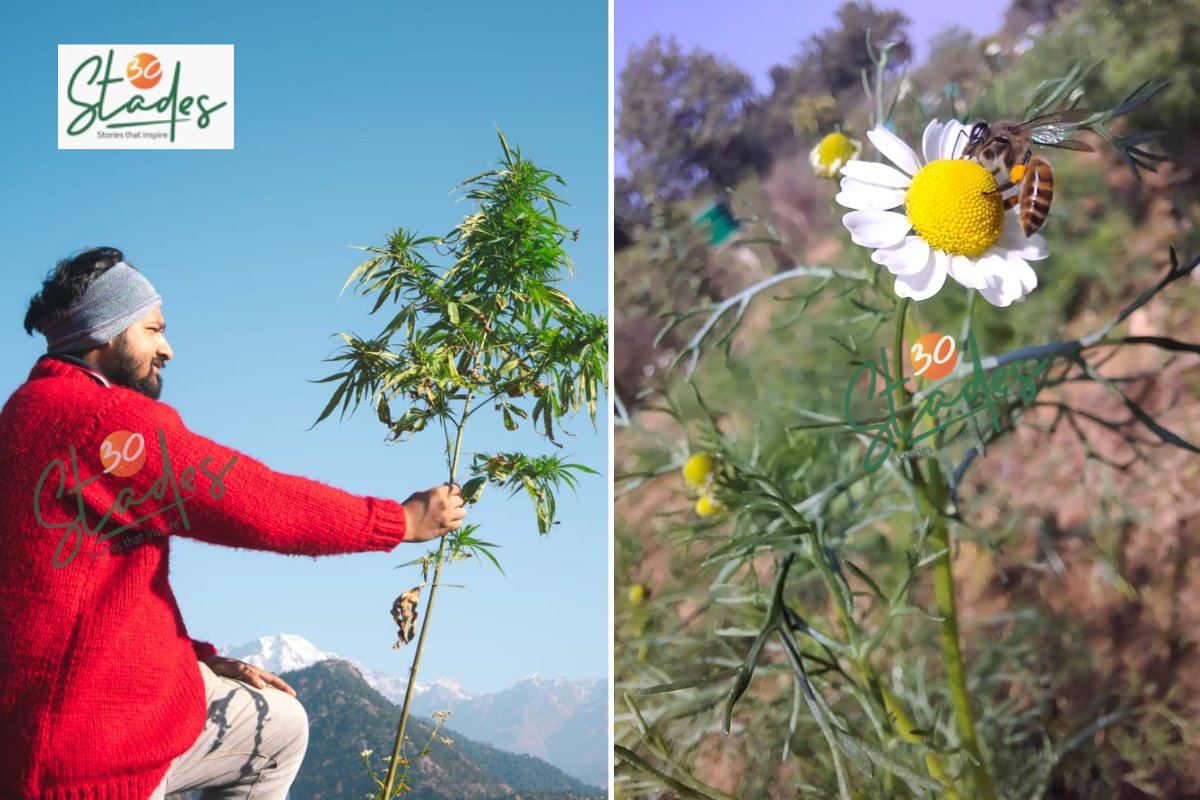 An entrepreneur turning cannabis into personal care and wellness products, a politician who became a beekeeper, 5 engineers who converted barren land into profitable farms and 5 agri-startup ideas that need under Rs1 lakh investment are in this #newsletter
30stades.com/newsletter/mon…