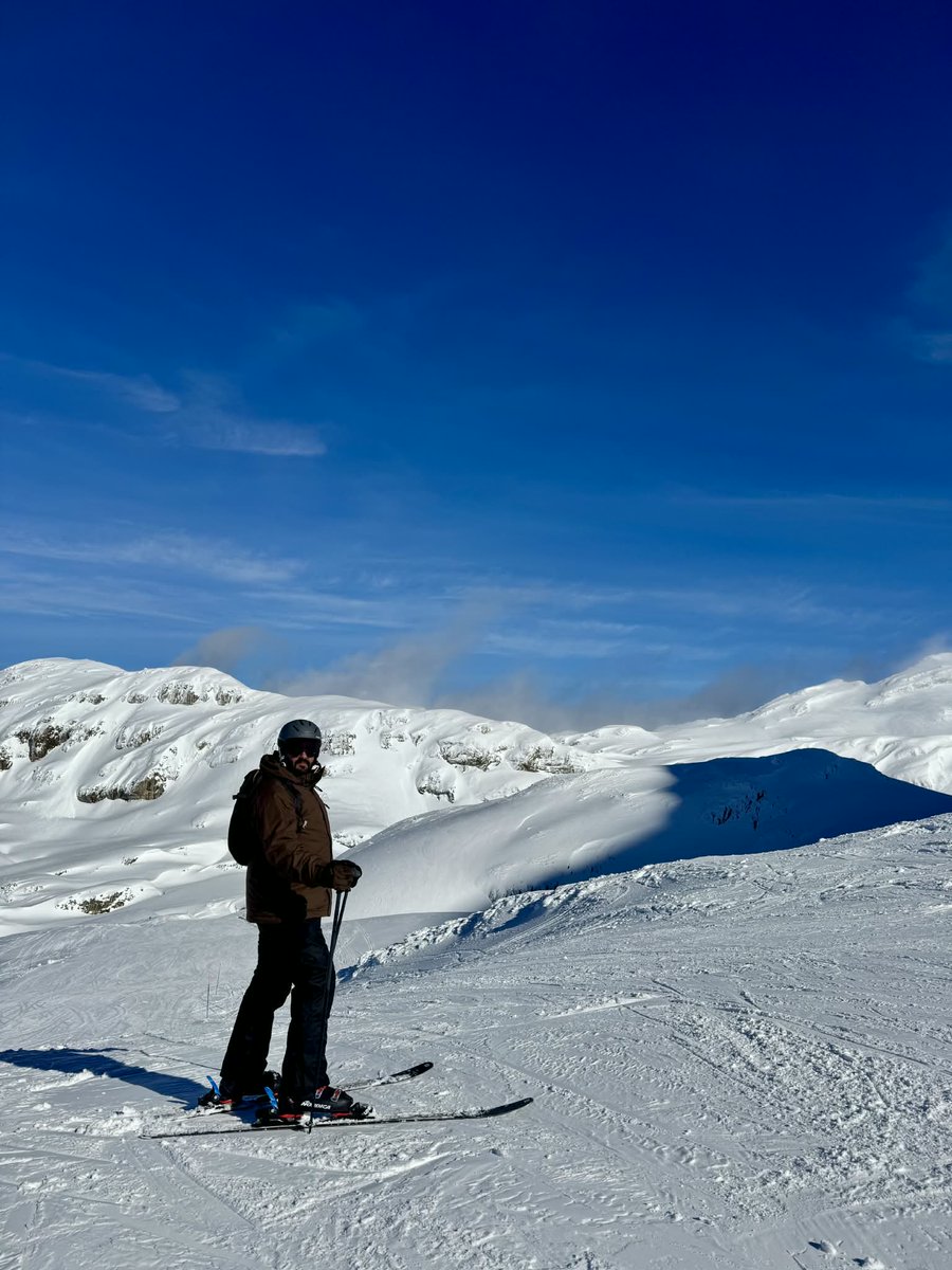 Alexandre tweet media