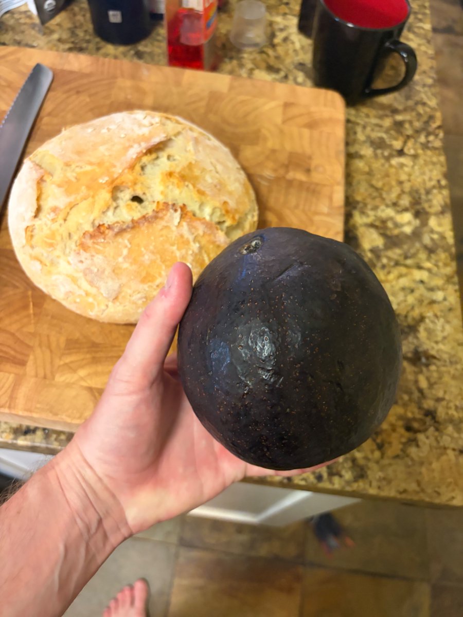 James Kestrel tweet media