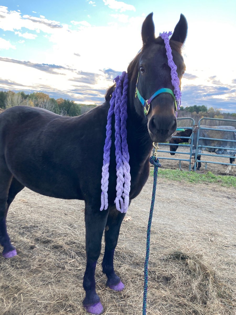 Archie, Aqua Leader tweet media