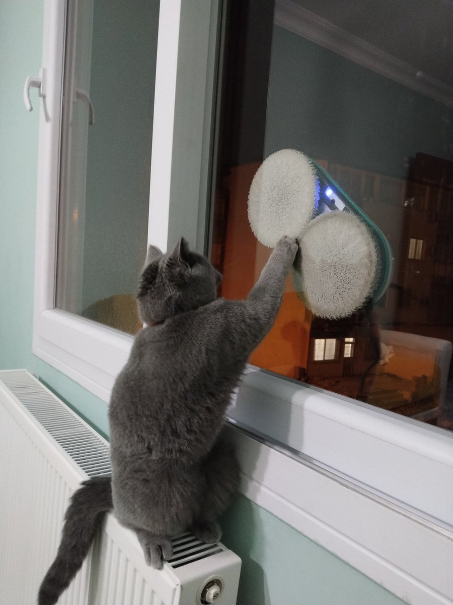 Cumartesi akşamı için 10/10 aktivite
😅😅😅