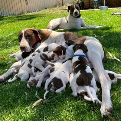 maddnessomu's tweet photo. #NewProfilePic https://t.co/GWhjimgPVZ