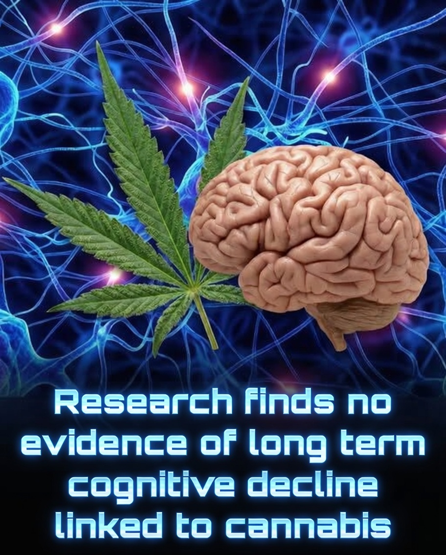 A 44-year longitudinal study from Denmark has found no evidence that long-term cannabis use accelerates age-related cognitive decline—in fact, it may even be associated with slightly less decline.

Published in Brain and Behavior (2024), the research followed 5,162 Danish men