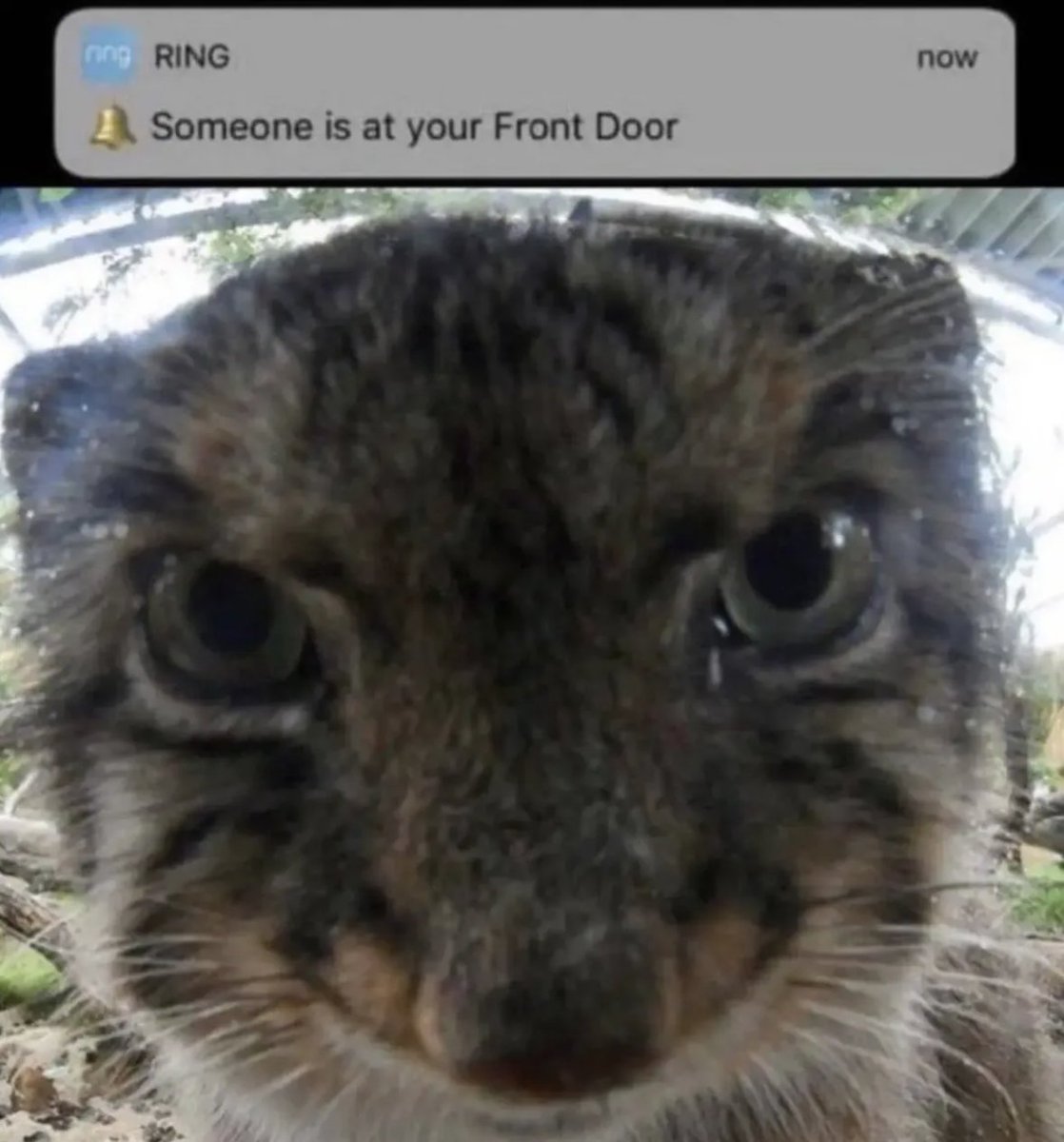 DailyMantle3's tweet image. 