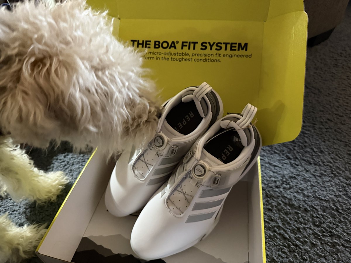 Pete Pappas tweet media