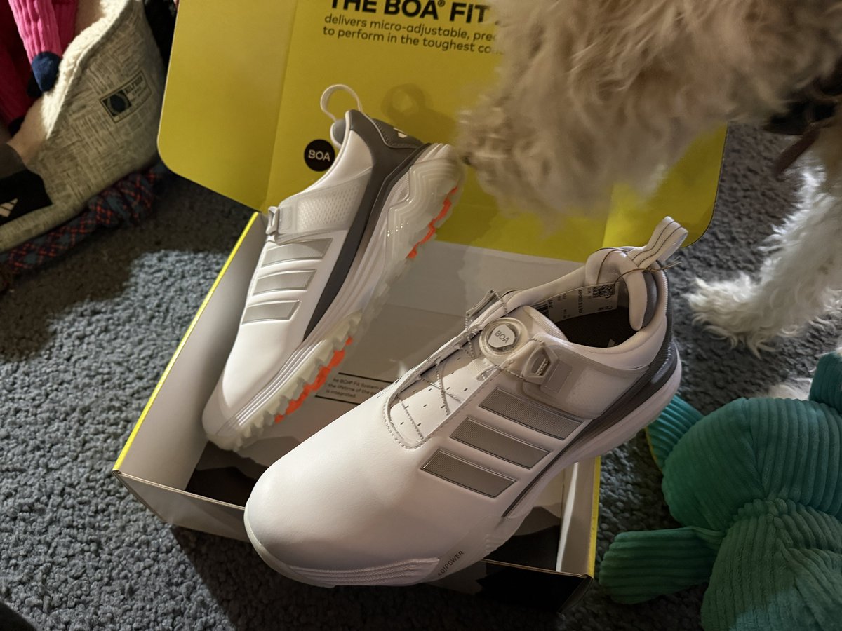 Pete Pappas tweet media