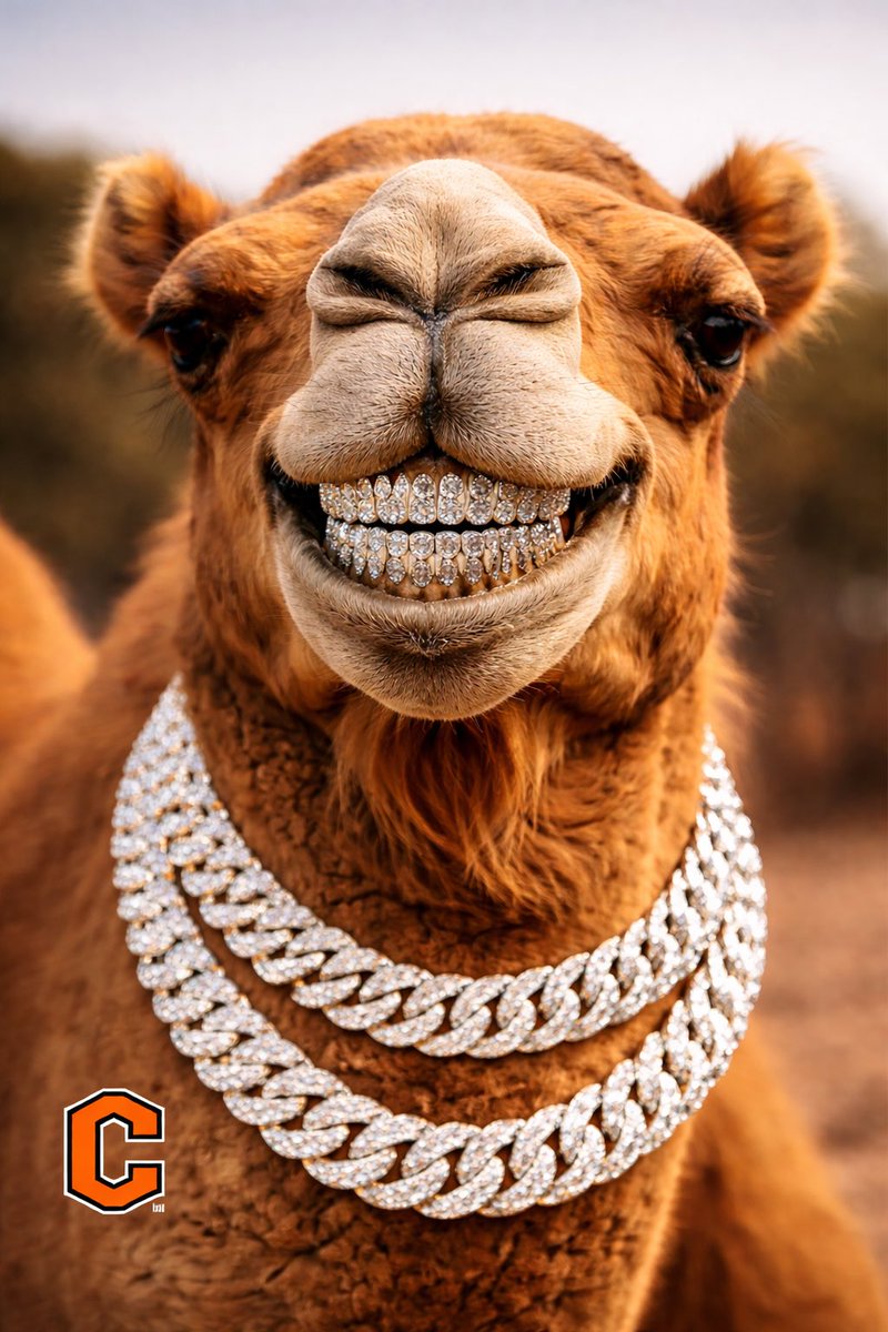 Woodrow Lowe III, Ed.D. tweet media