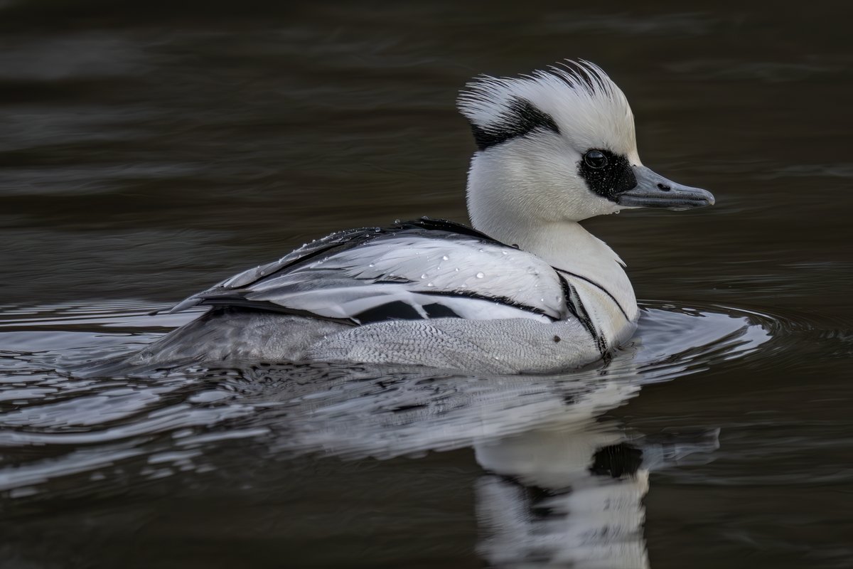 Brian Martin tweet media