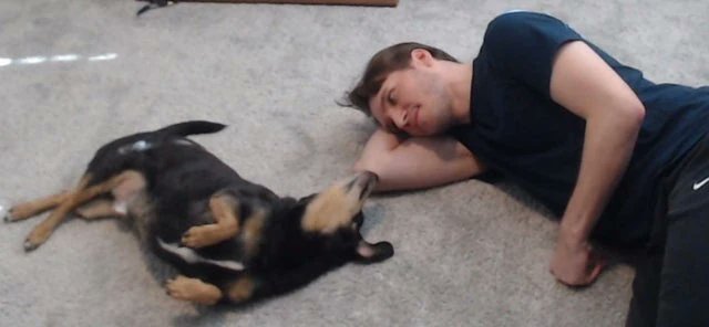 Rest in Peace Otto. Sending well wishes to Jerma. Growing up I'd watch Jermas content, and when I saw Ottos big adventure I fell in love immediately. Maybe because I had a history with Dachunds already but Otto was always a special piece of my childhood. He'll be missed greatly.