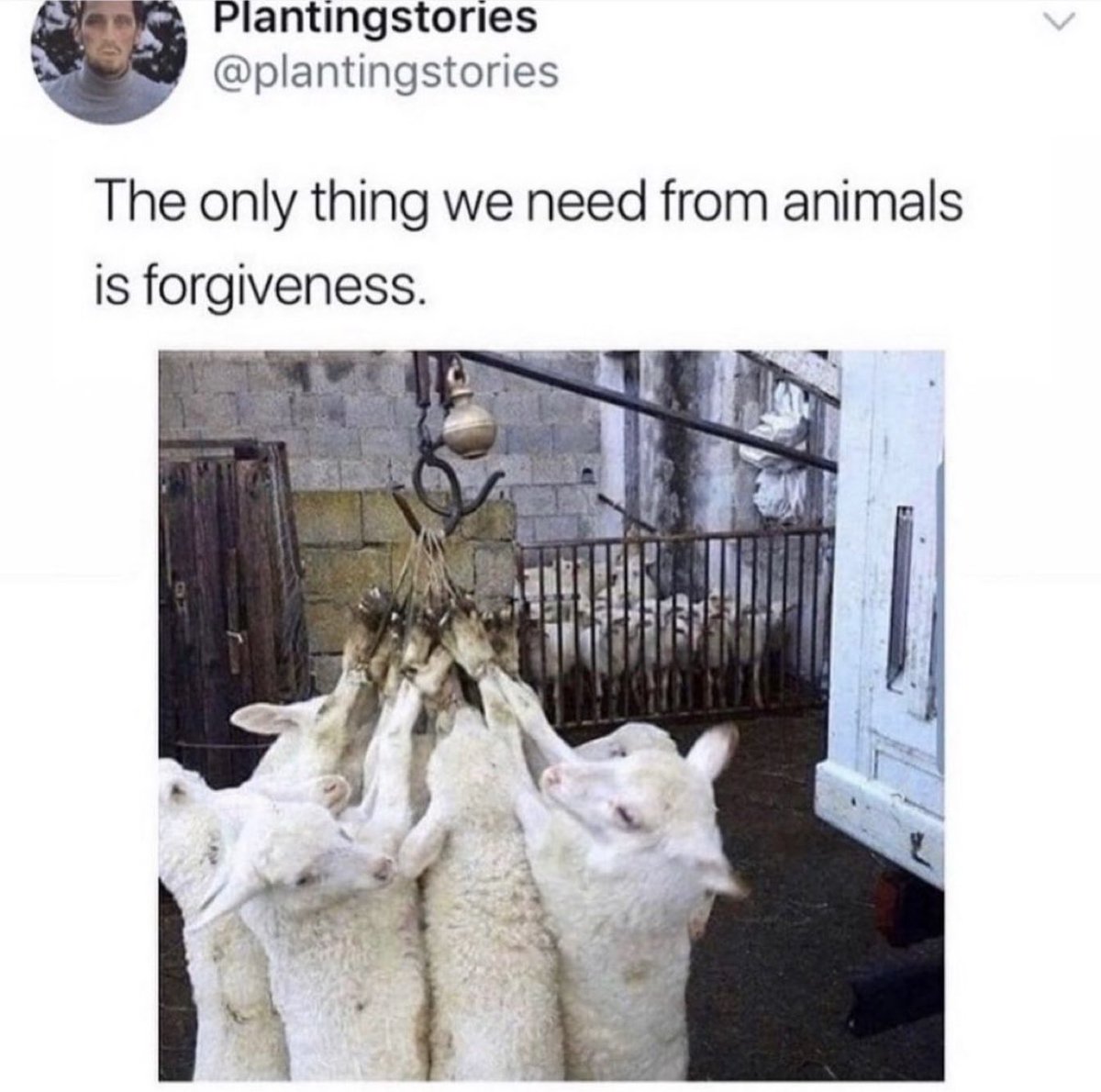 elkemiek (@knipoog72) on Twitter photo 