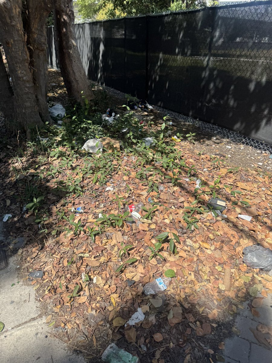 francesco_aps's tweet photo. Is this the way to keep our streets in one of the most turist and expensive areas of City of Miami? (I took like 20 pictures but I could only add 4) We deserve better after paying so much taxes!!!!!! @CityofMiami https://t.co/x2TIUaMmf7