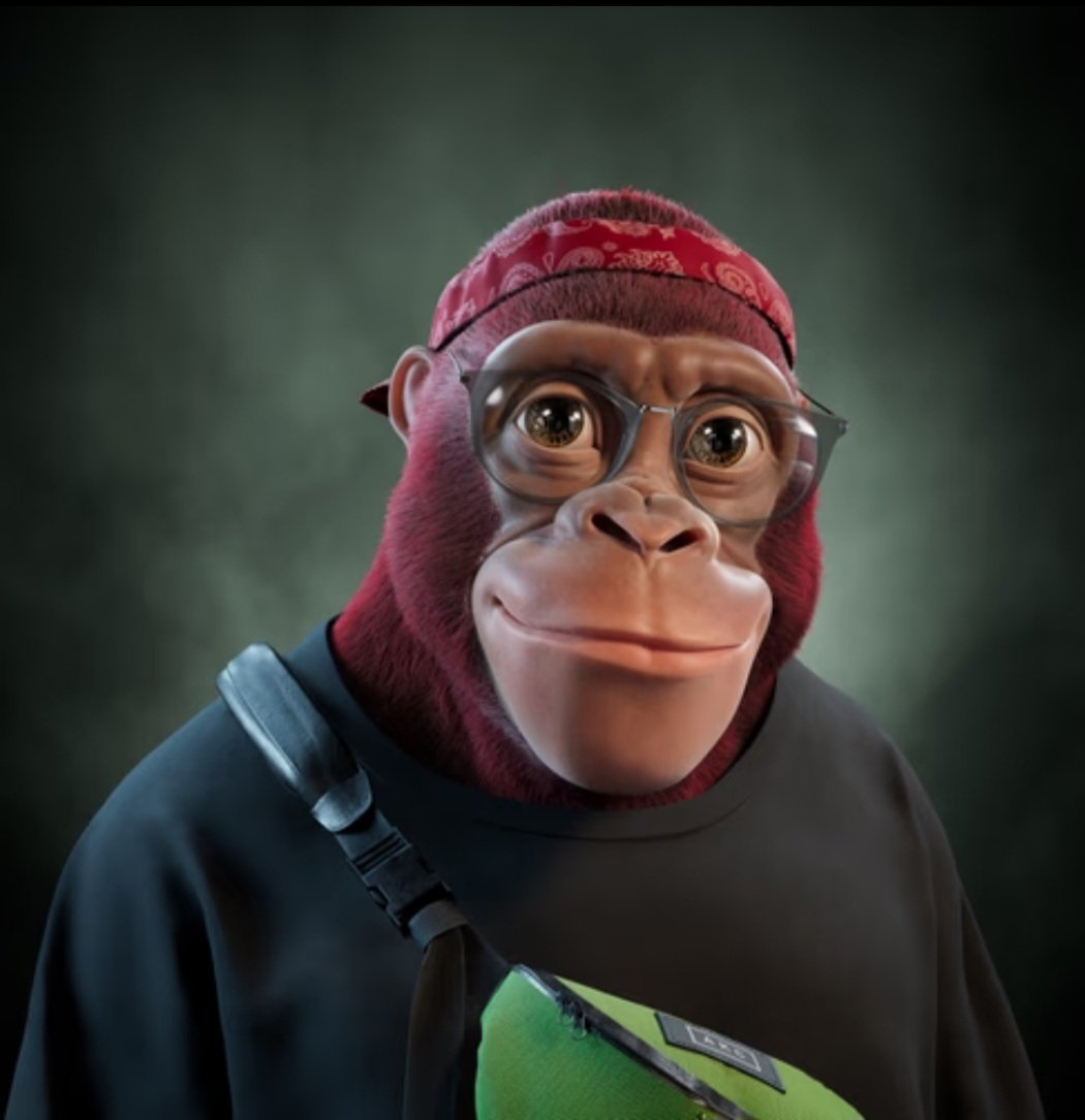 Franky 👑 🇮🇩🇧🇪 tweet media