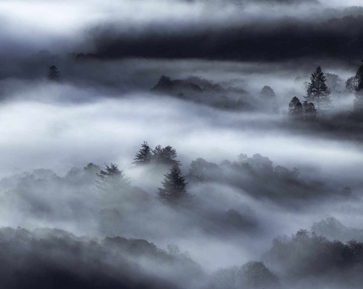 Paul Willson tweet media