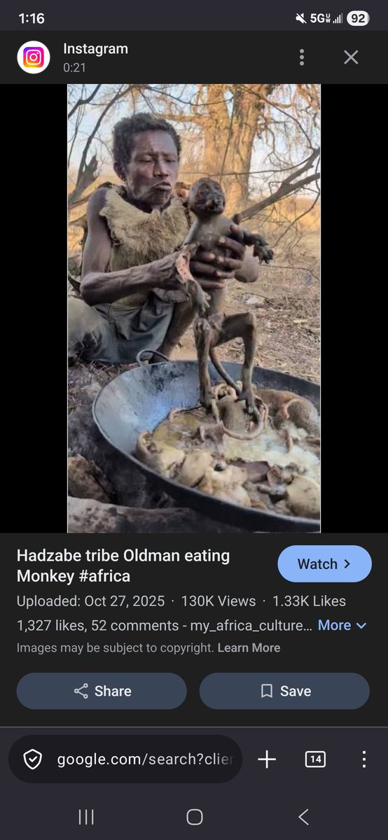 Adam tweet media