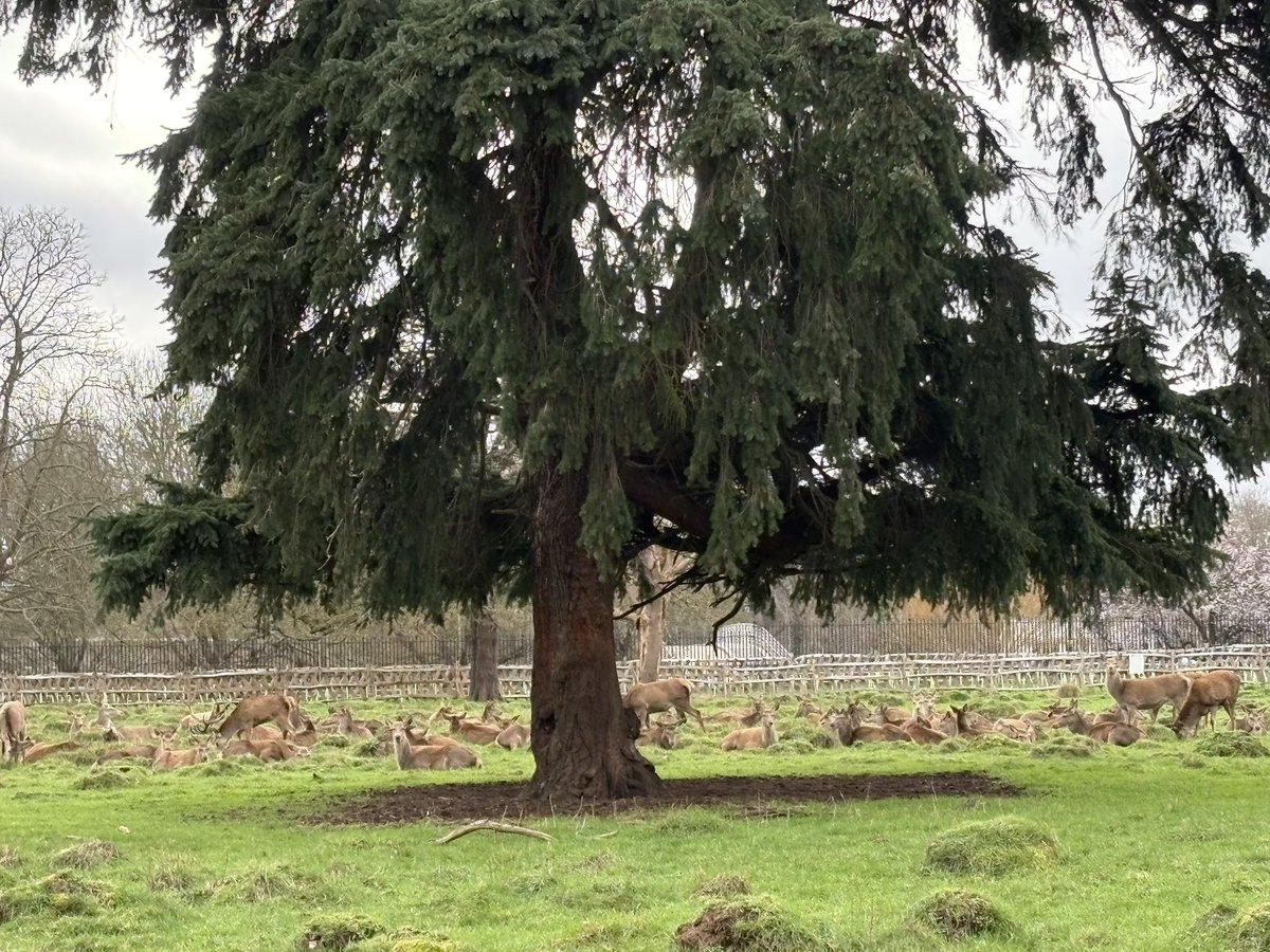 @abestishhead tweet media