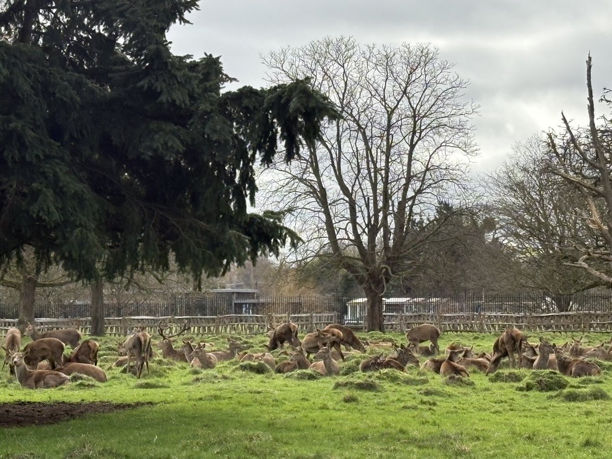 @abestishhead tweet media