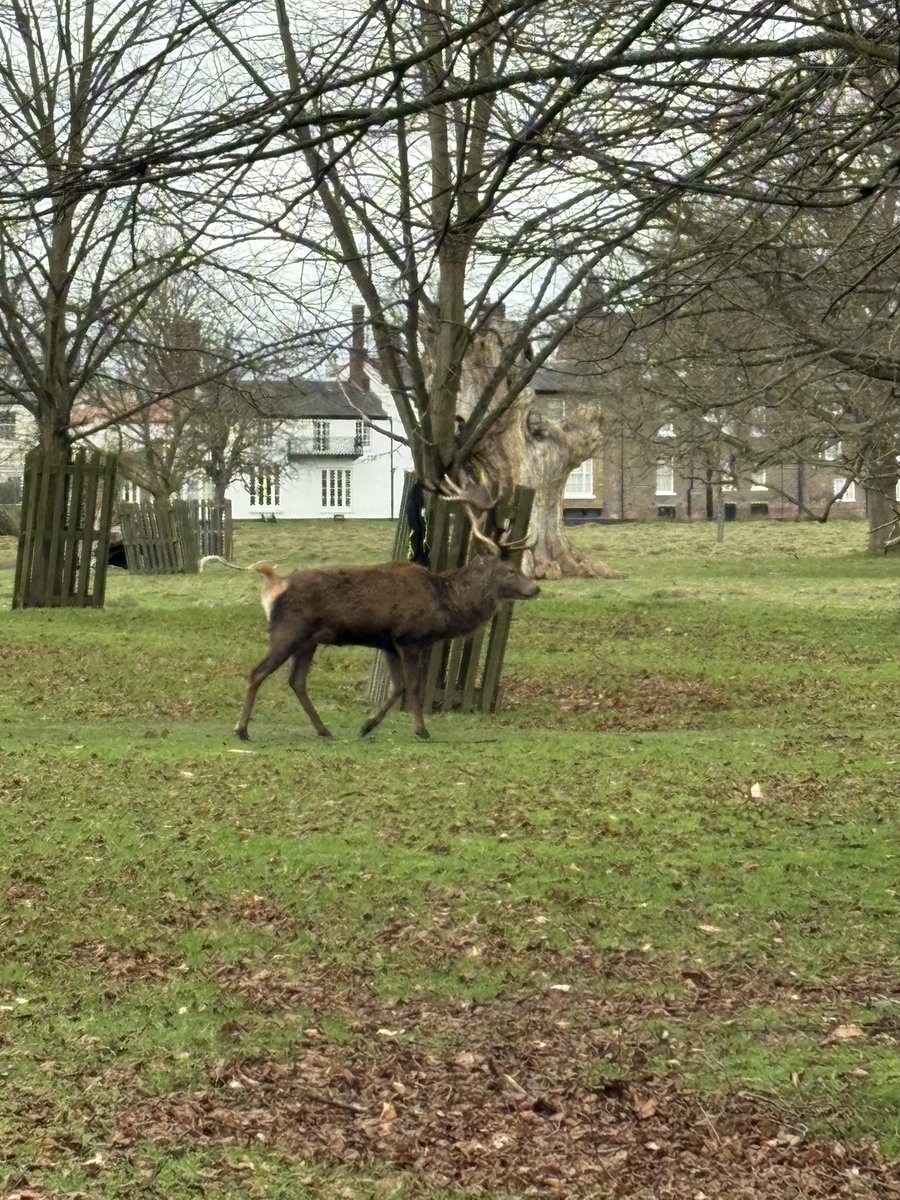 @abestishhead tweet media