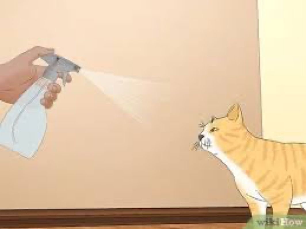 hyuntak has a spray bottle filled with water and everytime seongje starts to provoke him and play in his face he pulls it out and sprays him with it like he’s a cat… very effective method.