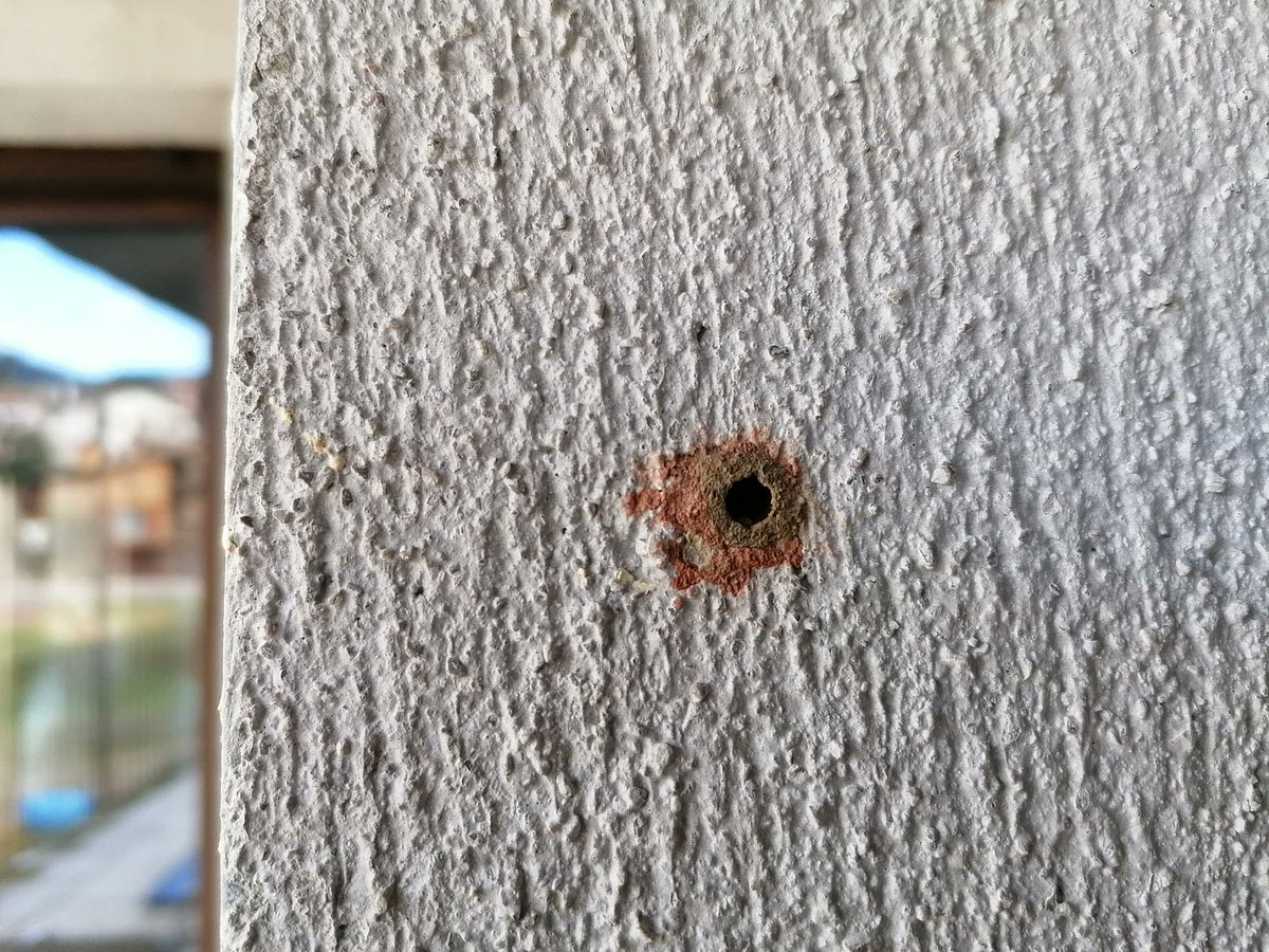 A finals de març, una abella solitària fa provisió de nèctar i el diposita dins d'un forat. Allà hi pon un ou. Després fa una pasteta de sorra i saliva i en tapa l’entrada. Tot seguit, mor.

Al febrer de l’any següent, l'ou eclosiona. L’abella petita es menja el nèctar que li va