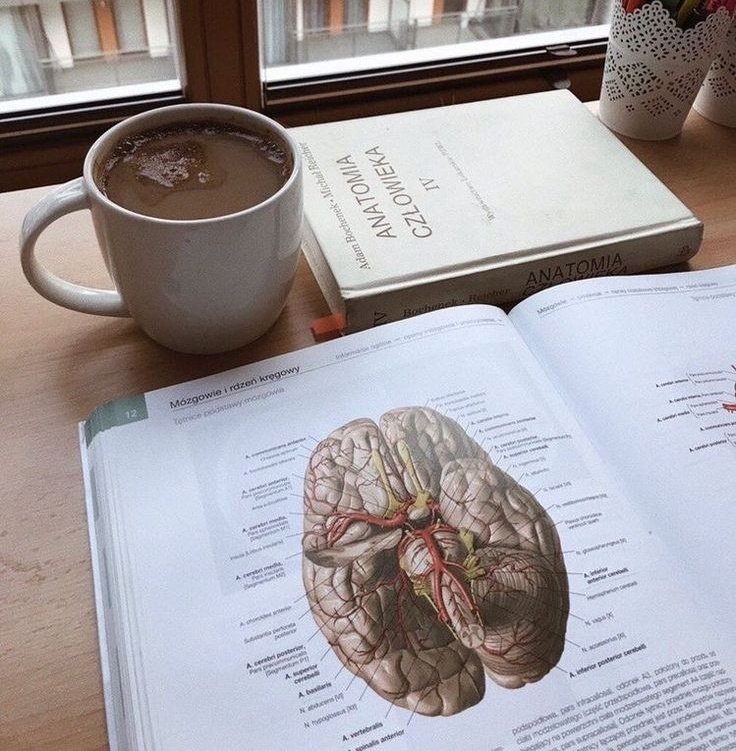 lalis_study's tweet image. ✹ ⌕ :   #studytwtbr | #studytwt

– Laís, 19 | PB
     • técnica em agroecologia 
     • vestibulanda de psicologia 𝚿
     • foco: enem (ufcg - uepb)

♡︎: livros, lana del rey, tvdu, tlou, pjo, história e música

♡︎/↺ = mutuals!