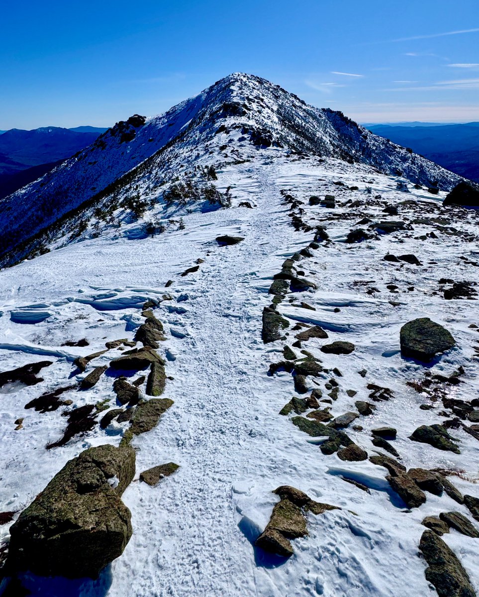 Tim Stanton tweet media