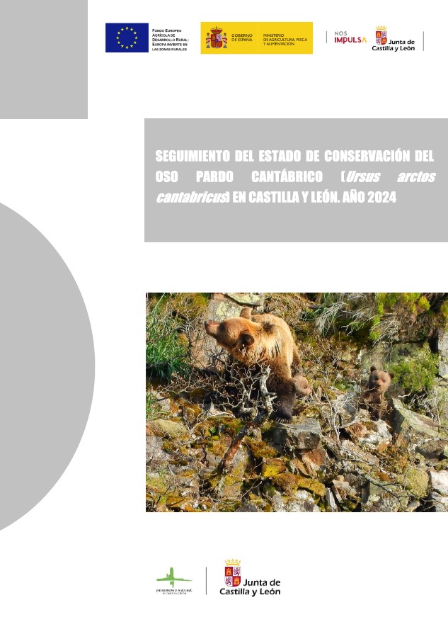 naturalezacyl's tweet image. Hoy es el Día Internacional para la protección de los osos del mundo, una buena oportunidad para conocer el estado de las poblaciones de #OsoPardo en #CyL, las medidas de conservación adoptadas, cómo realizamos el censo... @patrimonionat  medioambiente.jcyl.es/web/es/medio-n…