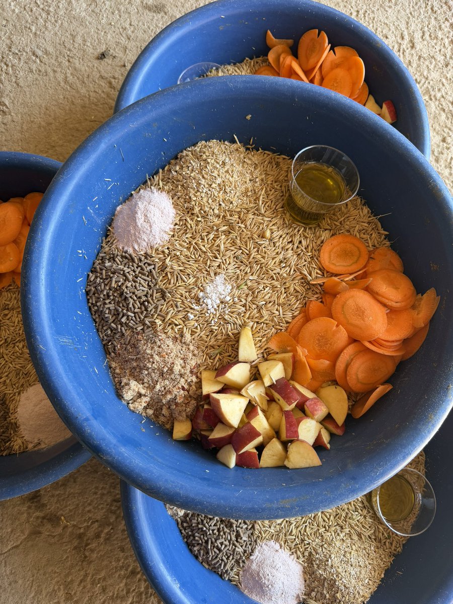 Fatma İPEK tweet media