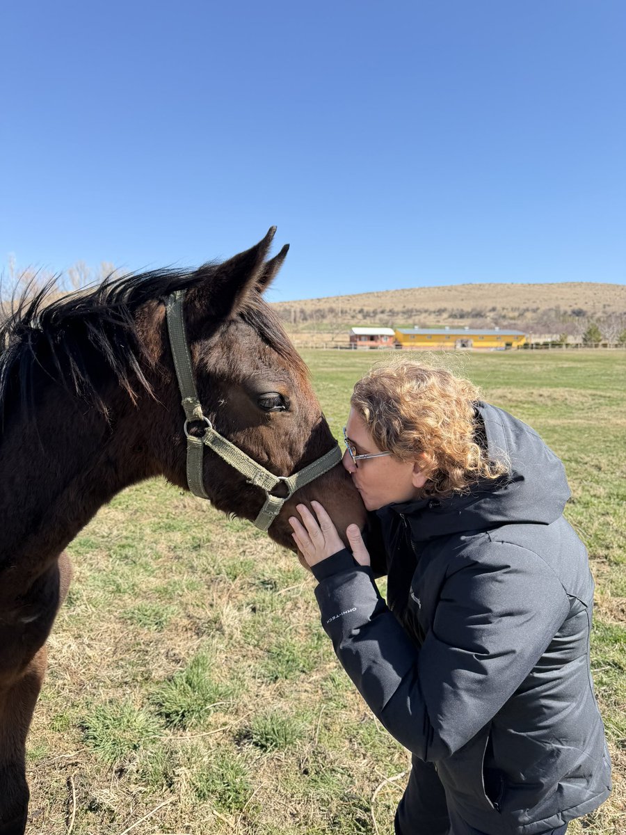 Fatma İPEK tweet media