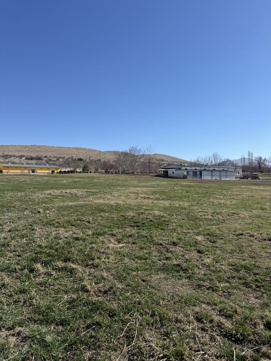 Fatma İPEK tweet media