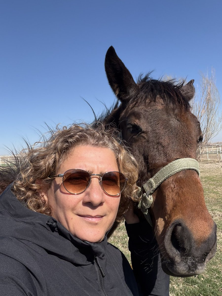 Fatma İPEK tweet media