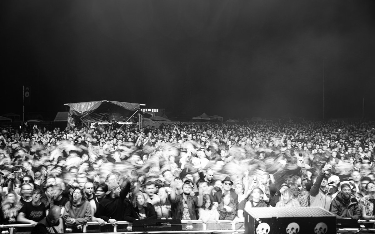 Noodle 📷 tweet media