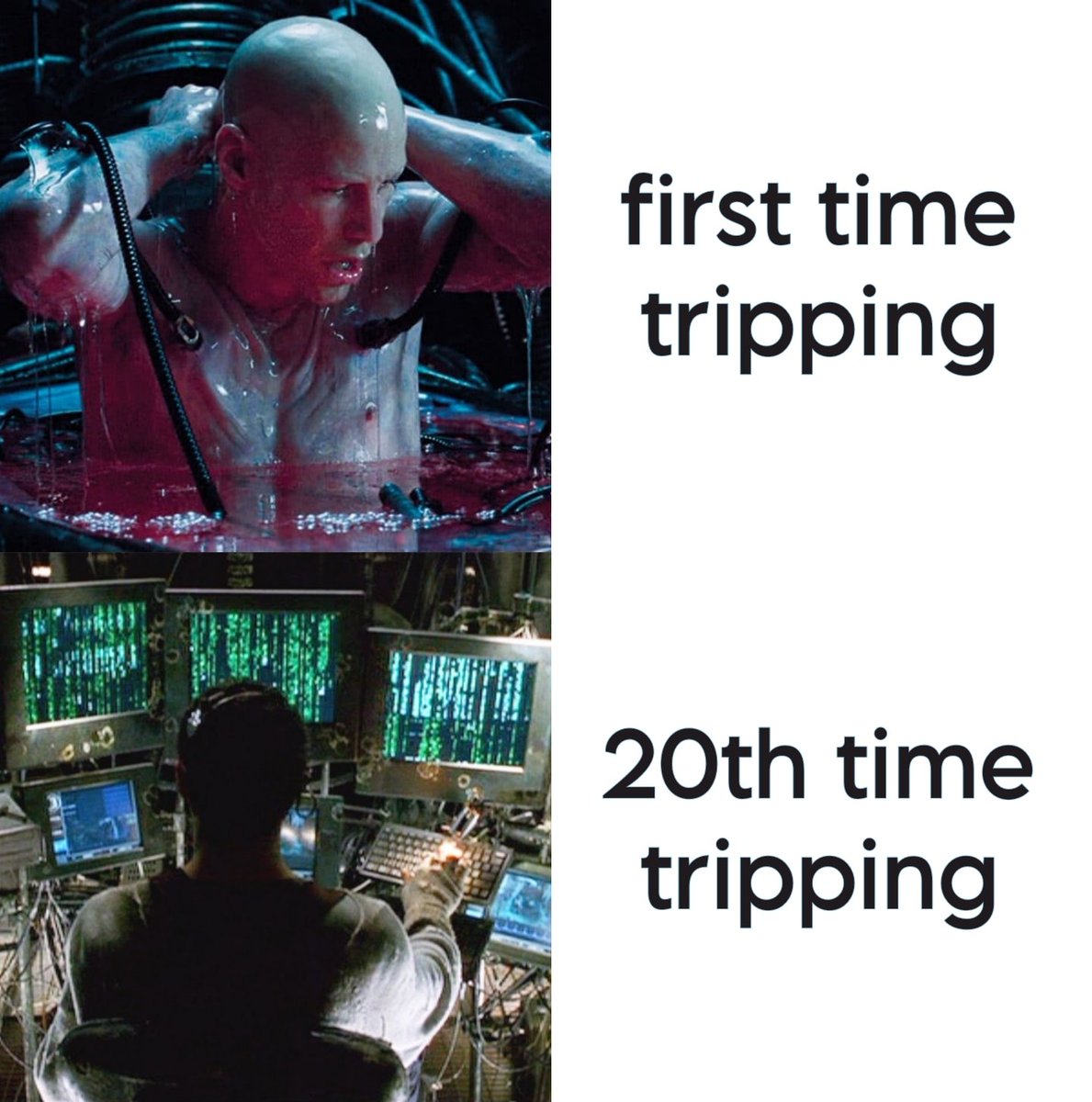 Alien Perspective (@wigglyair) on Twitter photo 