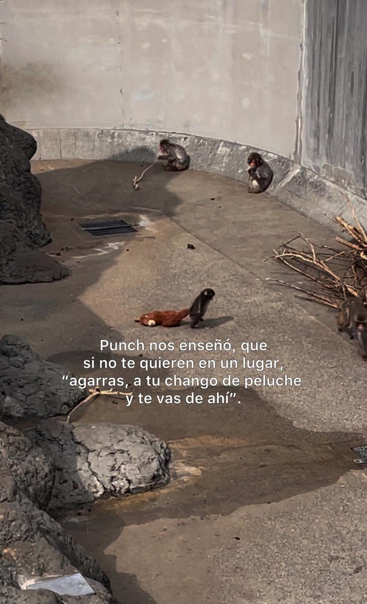 BANDIDOS tweet media