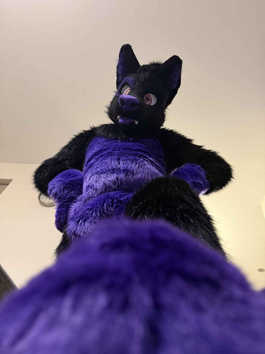 Tyler Wusky tweet media