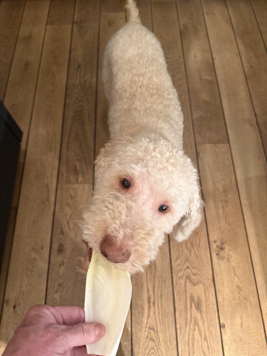 Ruth📯 tweet media