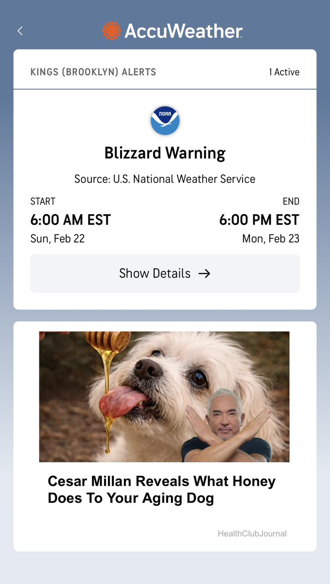 Can’t check check the forecast without learning what honey does to your aging dog
