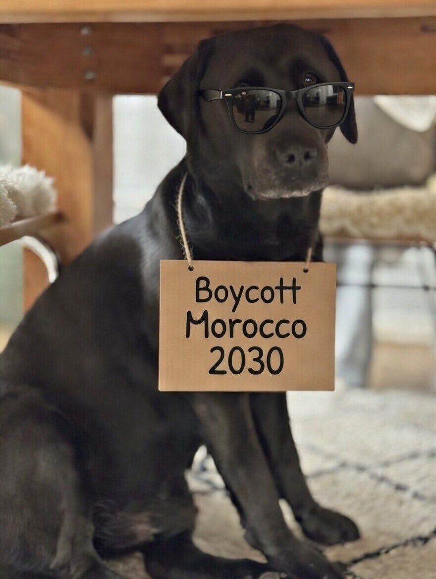 👇🏻👇🏻👇🏻