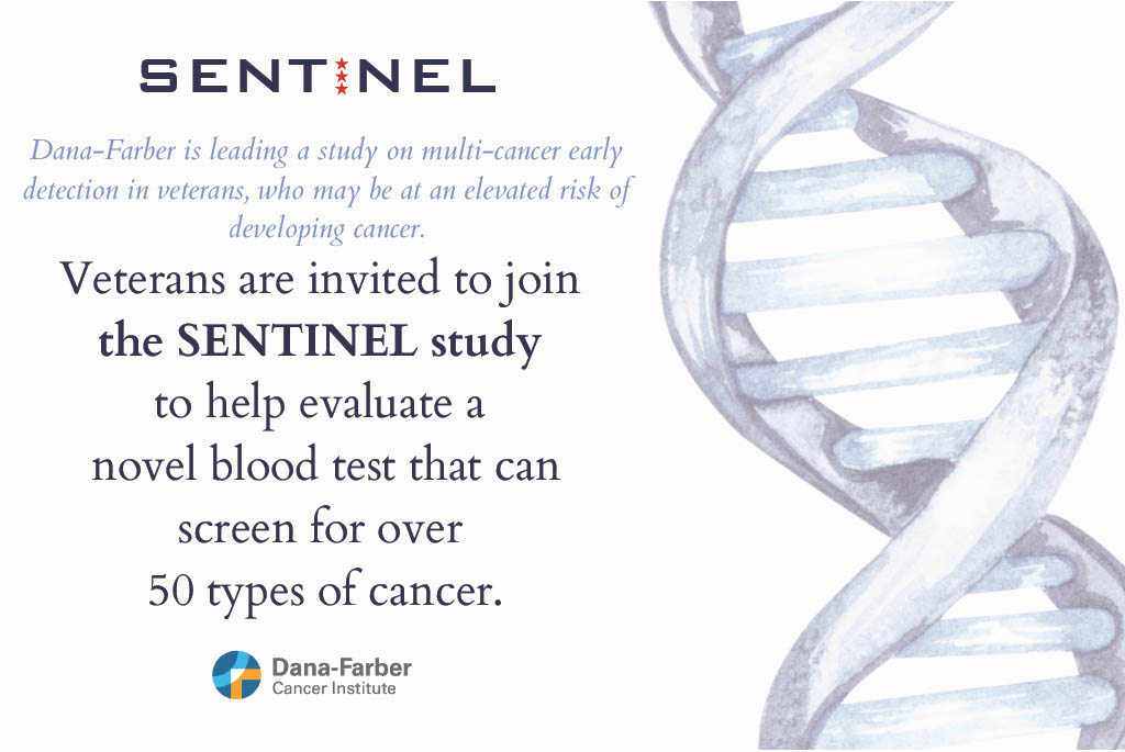 Stronghold Freedom Foundation tweet media