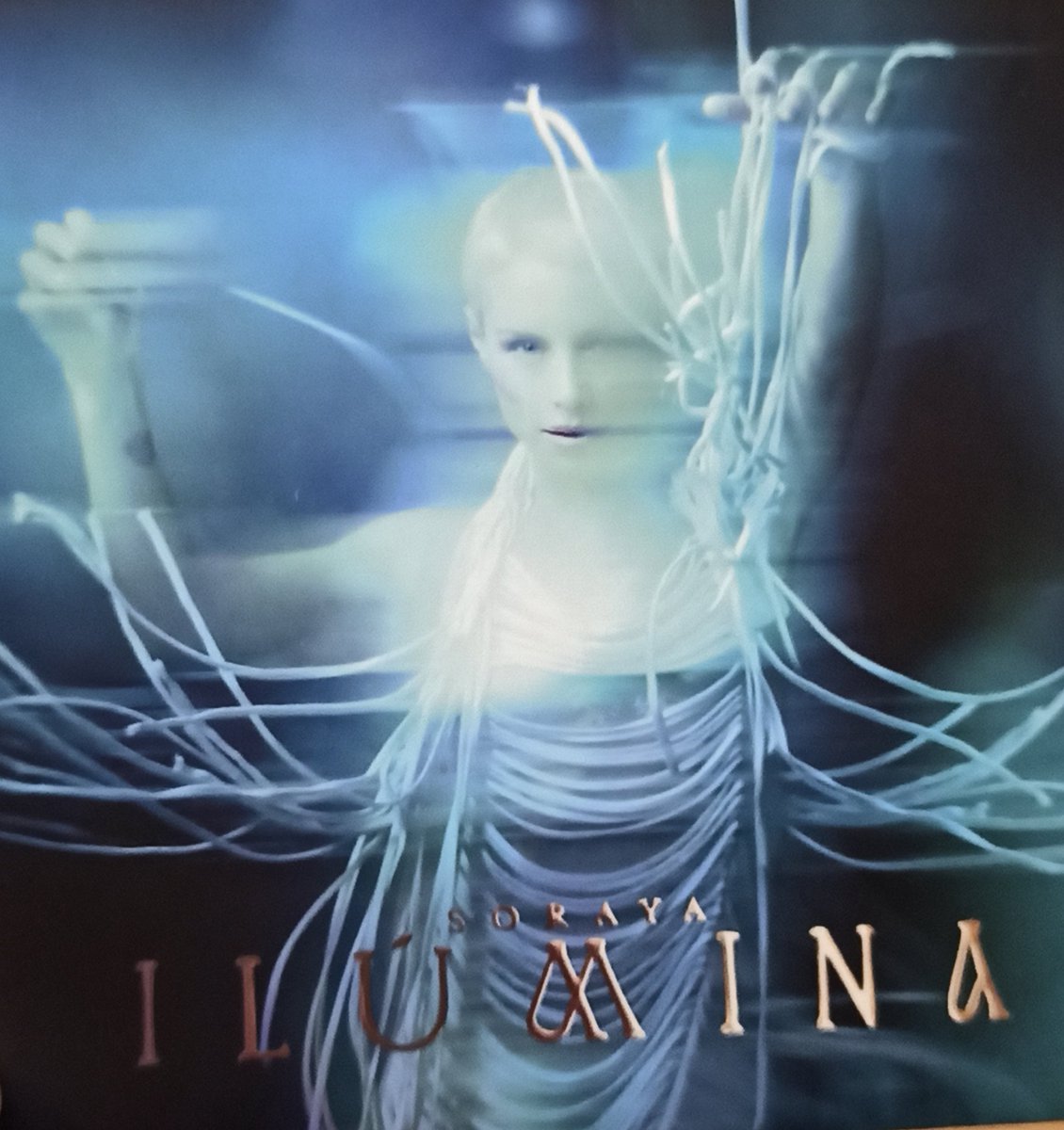 Yolanda A. tweet media