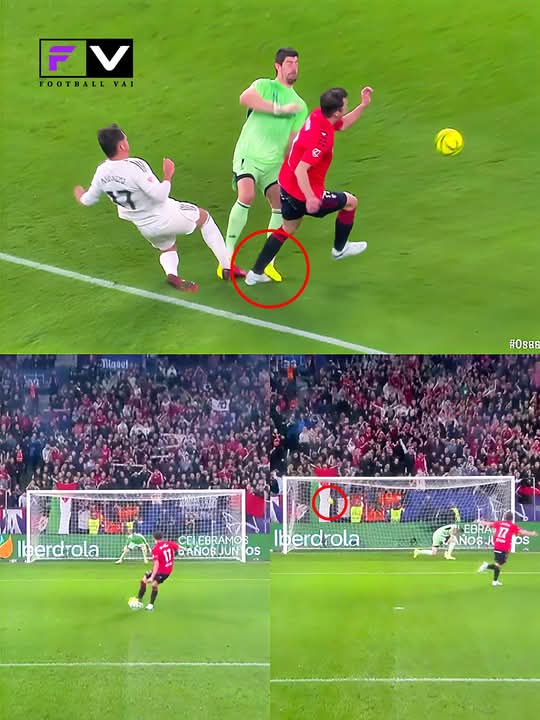 CHIMAOBI 🐅 tweet media